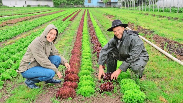 Ruth und Noah Ammann produzieren im Freiland Salat und Gemüse, das sie im Hofladen, in Heimen und Gastrobetrieben in der Region vermarkten. 