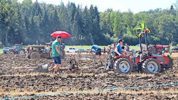 Bei hochsommerlichen Temperaturen und unter idealen Bodenbedingungen wendeten die Teilnehmer mit ihren mitgebrachten Maschinen den Boden.