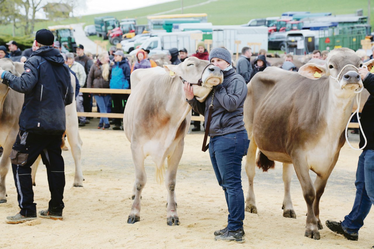 Kuschelkuh Julischka und meine Wenigkeit beim Line-Up in Riffenmatt. (Bild Rolf Schumacher)