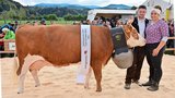 Miss an der Jubiläumsschau wurde die schöne Brisago Lili von der BG Baumann und Kilcher. 