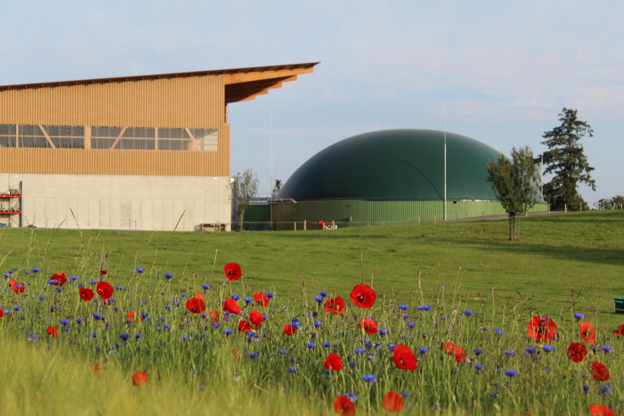 Effizient laufende Biogasanlagen, wie dies des Holzhof Käserei- und Landwirtschaftsbetriebs in Amlikon-Bissegg (TG), wären mit der aktuellen Version des Energieversorgungsgesetzes gefährdet. (Bild zVg)