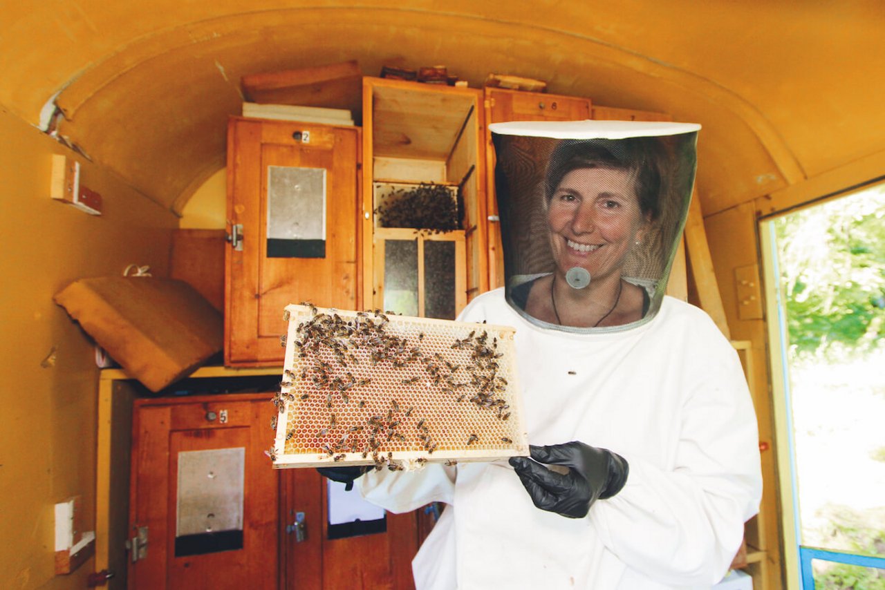 Corina Göpfert imkert in ihrem Bienenhaus mit Schweizerkasten. (Bild: Jürg Vollmer)