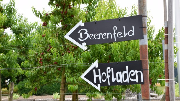 Im Hofladen auf dem Weierhof gibt es viele regionale Produkte. Auch ein Beerenfeld zum selbst pflücken lockt die Kunden an. (Bild BauernZeitung/Lisa McKenna) 