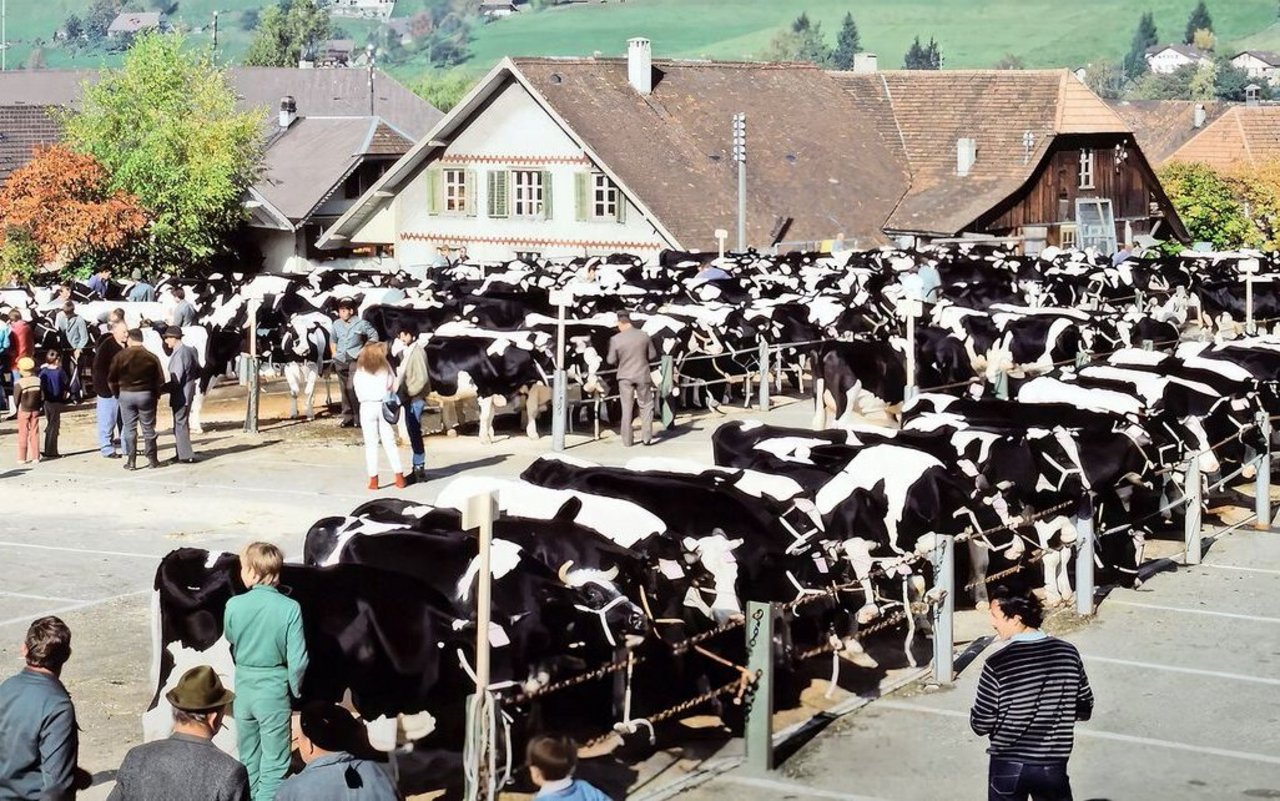 Die Jahrhundertversteigerung im Jahr 1982: der ganze Bestand von Oscar Dupasquier aus Bulle.