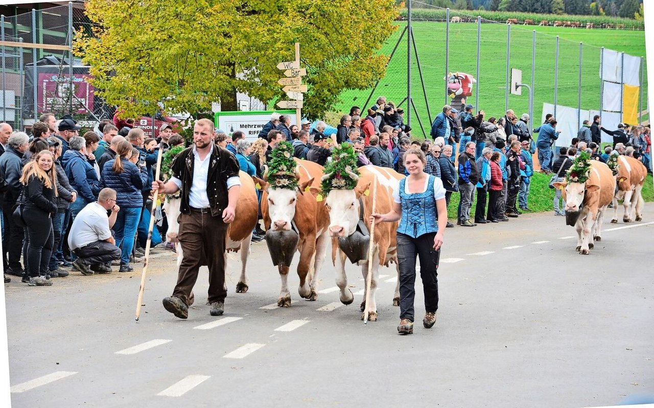 Die 20 Abzügelten der VZV Guggisberg lösten Gänsehautmomente aus. Hier die Reinzüchter-Familie Schmied aus Guggisberg BE mit ihren 30 Kühen. Sie laufen eine Stunde heimwärts. 