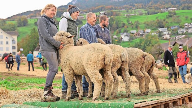 Frau, Mann und Schaf präsentierten sich an der Kleinviehschau in Schwyz auf dem Laufsteg.