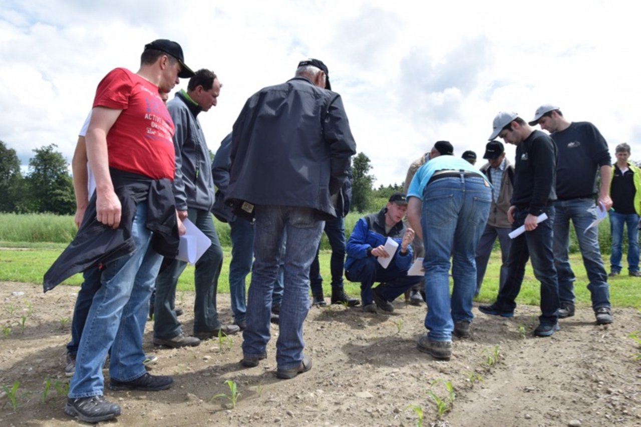 Die Besucher zeigen sich sehr interessiert und aktiv (Bilder jba)