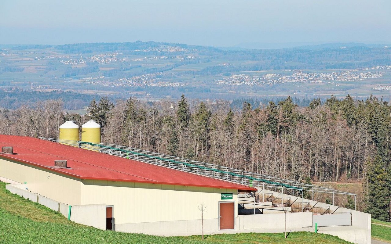 Investitionen in das Tierwohl: Der Bau von neuen Ställen dürfe nicht unnötig erschwert werden, fordert der Schweizer Bauernverband (SBV). 