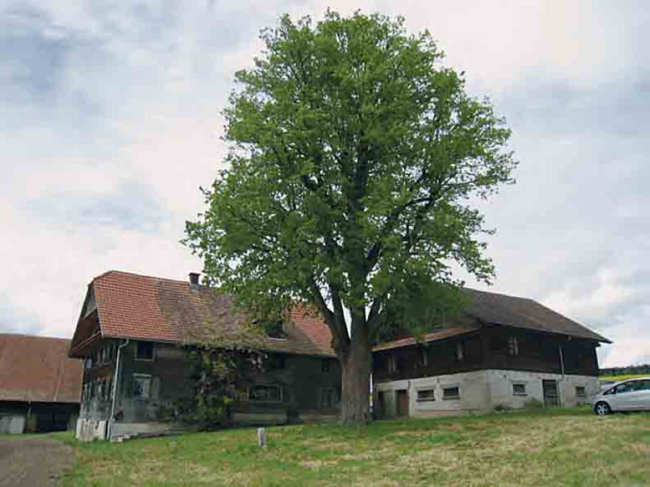 ein baufälliges Bauernhaus mit Nebengebäude. Beide wurden schon 2014 abgebrochen. 