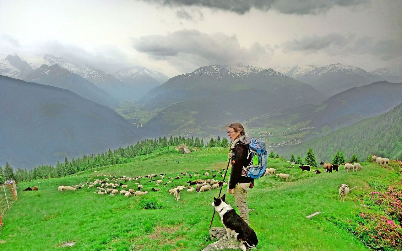 Doris Theiner ist seit sieben Jahren Hirtin und seit sechs Jahren Alpmeisterin auf der Alp Lumpegna bei Disentis. Mit dabei sind unter anderem 700 bis 800 Schafe sowie 120 Ziegen.