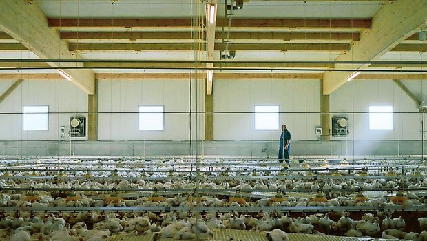 Beim Produzenten die Realität abbilden und die Bauernfamilien erzählen lassen. So wird heute für Schweizer Fleisch geworben. 