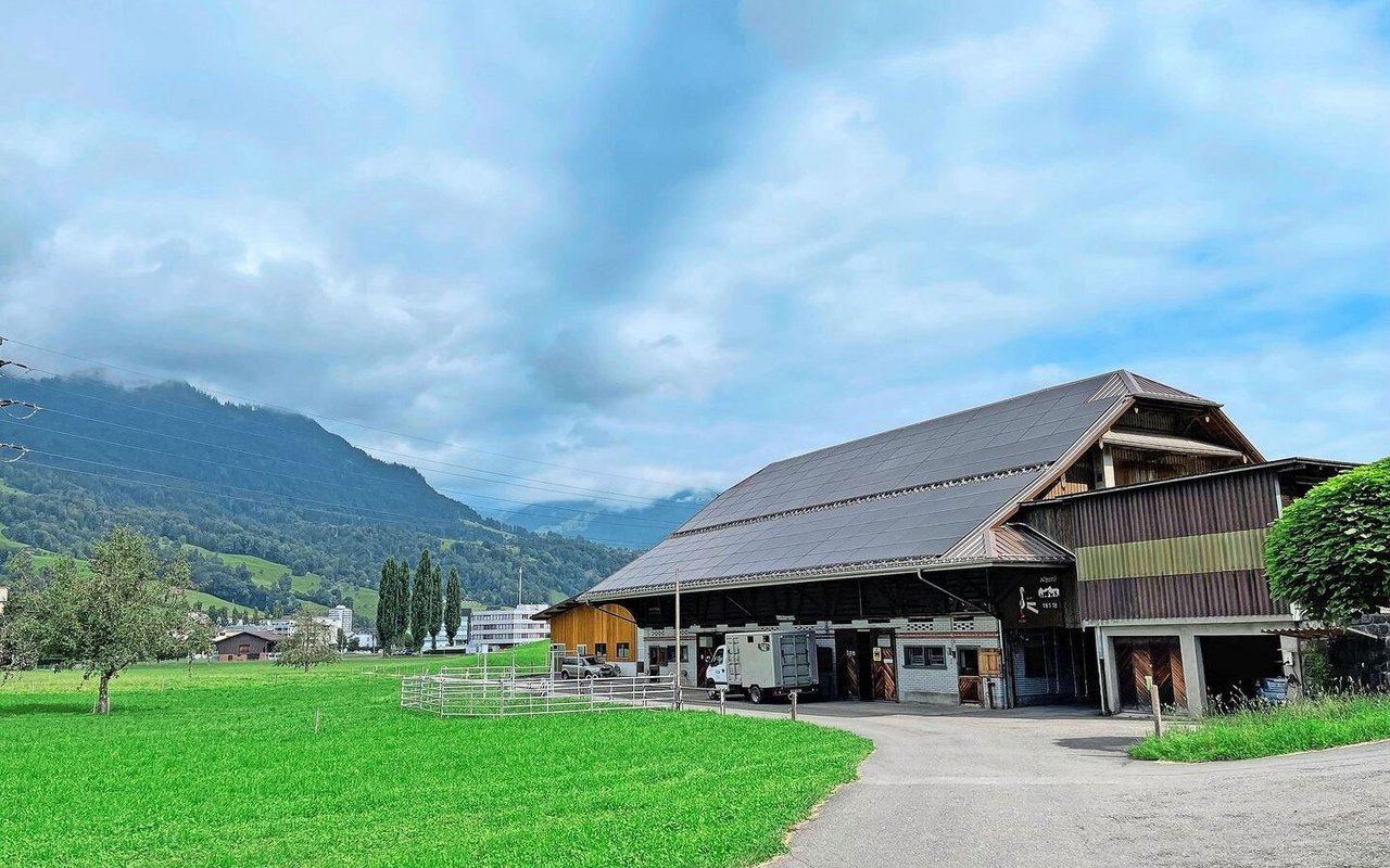 Blick vom Wohnhaus aus in Richtung «Gade» am Dorfrand von Sarnen. Im Hintergrund der Anbau mit den Liegeboxen.