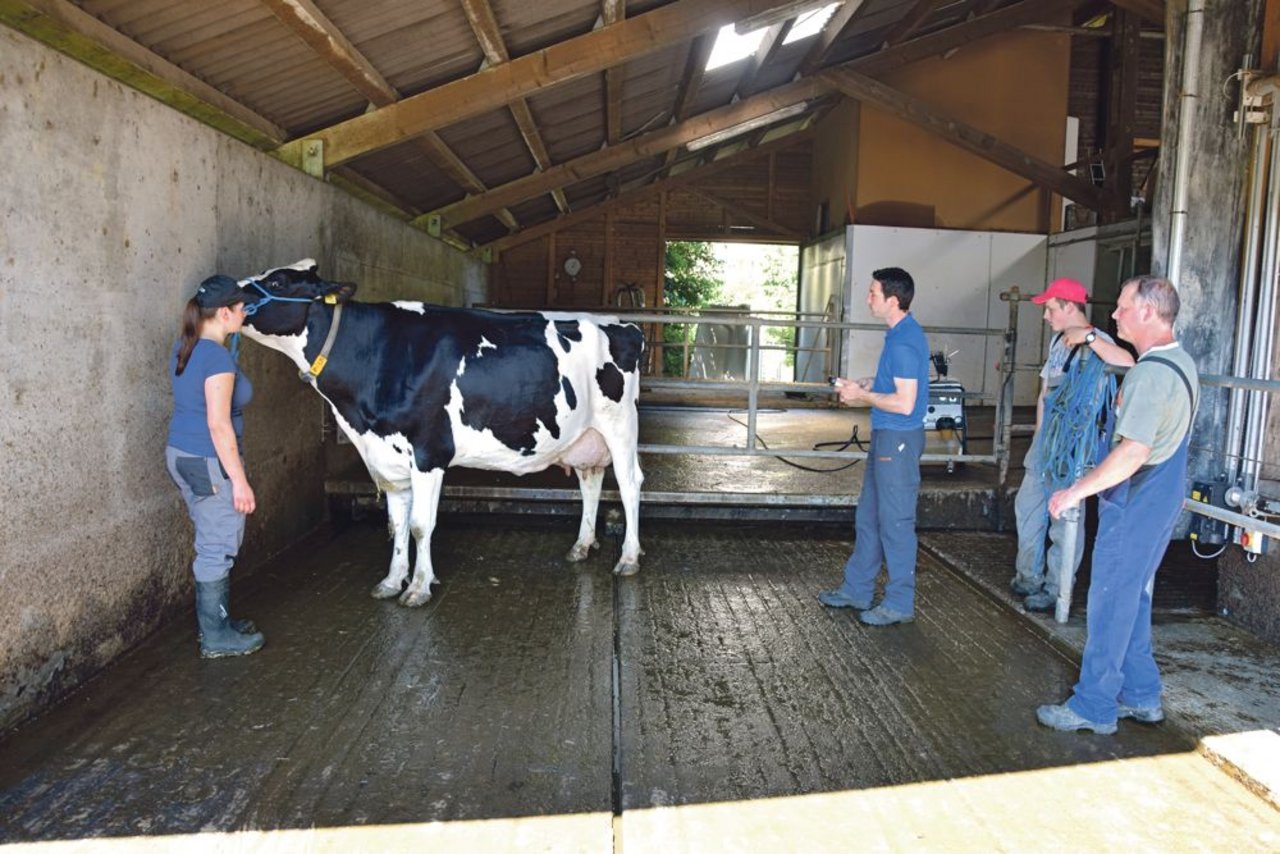 Einstufer Thomas Ender beschreibt Shottle Nadia mit VG 88: Gespannt schauen der Betriebsleiter Stefan Käser (rechts) aus Oberflachs AG mit seinen zwei Lernenden Bettina Belser und Nicolas Marti zu. (Bild Peter Fankhauser) 