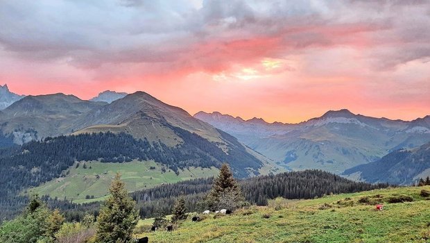 Der Herbst hält Einzug, die Sonne kommt morgens immer später – dafür kommt das Alpteam in den Genuss eines prächtigen Morgenrots. 