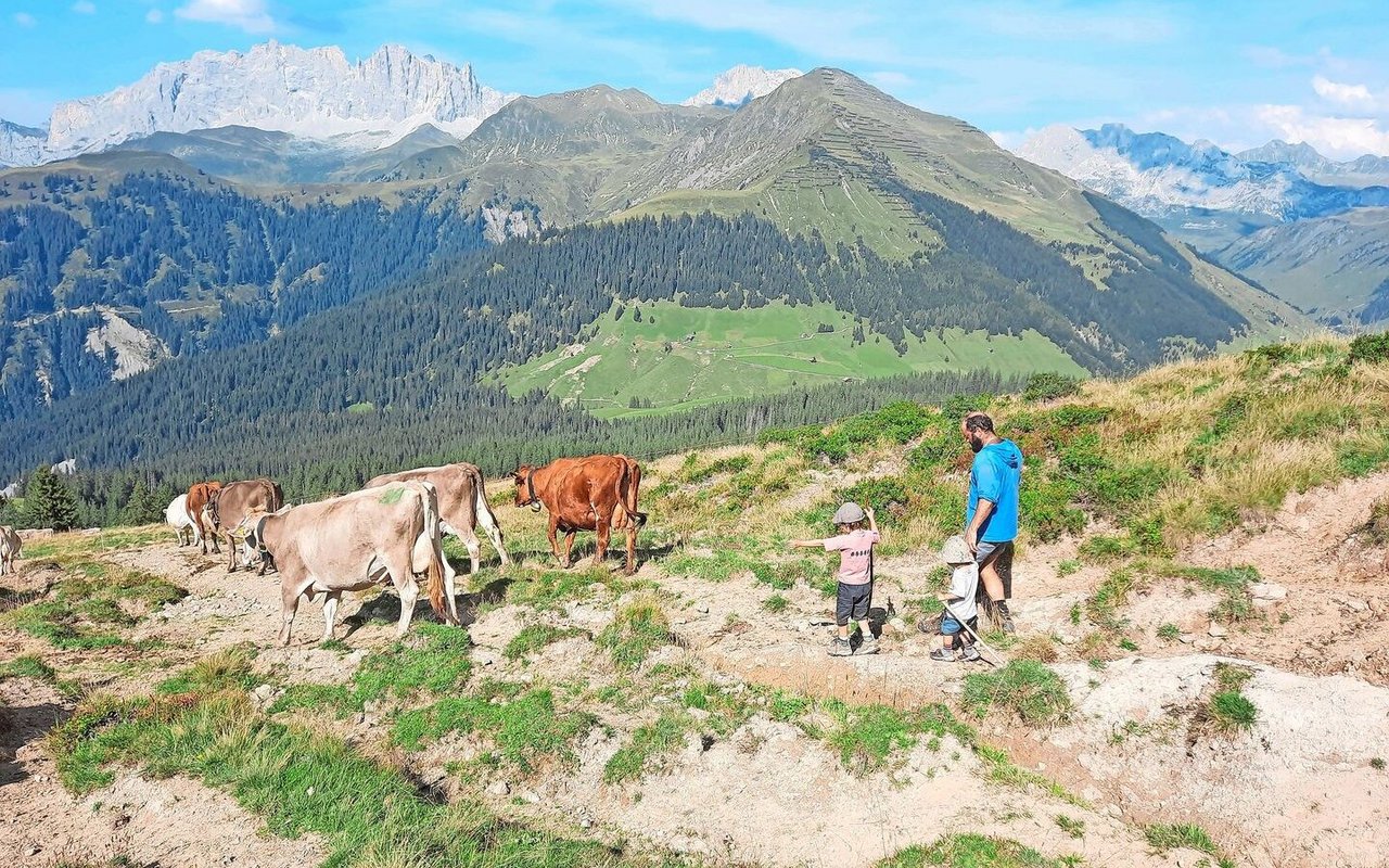 Zurück auf der Alp Valpun nach der aufregenden Kuhrettung, freuen sich die beiden Kinder Cyrill und Ronya über Zeit mit ihrem Dädi. 