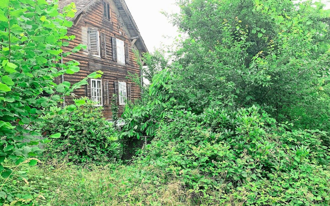 Das Bauernhaus Schindelweid in Küssnacht, mitten in viel grünem Bewuchs. 