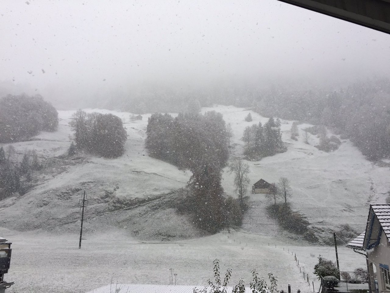 Der erste Schnee kam flächendeckend. (Bild Muotathaler Wetterschmöcker / Twitter)