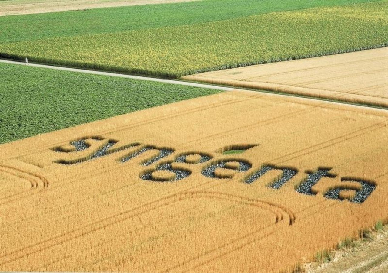 Wie geht's weiter mit Syngenta? Daniel Vasella ist optimistisch. (Bild zVg)