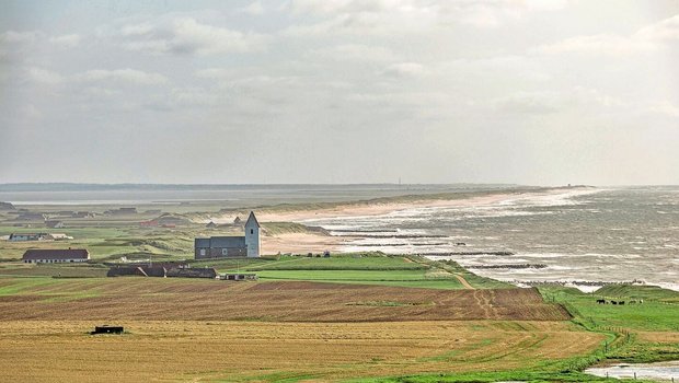 In Dänemark hat eine breite politische Allianz Pläne zu einer umfassenden Transformation der Landwirtschaft ins Auge gefasst. Ein jüngst geschlossenes Abkommen soll allen Ansprüchen Rechnung tragen.