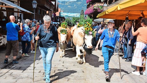 Auch eindrücklich geschmückt: die reinen Simmentalerkühe von Familie Ueli und Regula Bach aus Turbach BE. Die Züglete kam von der Alp untere Zwitzeregg ins Tal.