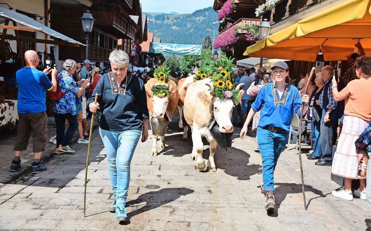 Auch eindrücklich geschmückt: die reinen Simmentalerkühe von Familie Ueli und Regula Bach aus Turbach BE. Die Züglete kam von der Alp untere Zwitzeregg ins Tal.