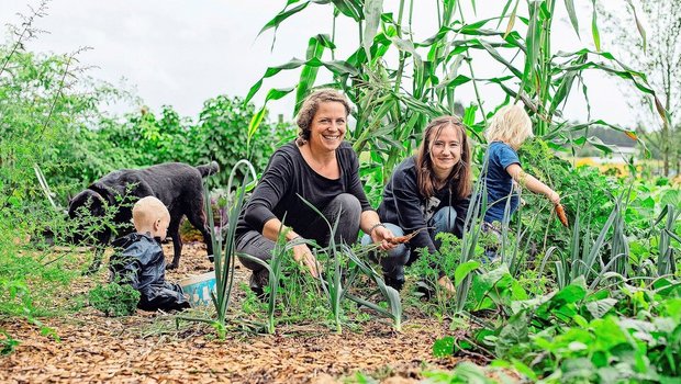 Die Ausbildnerin Tamara Vogel (l.) holt mit ihrer Agriprakti-Jugendlichen Vivien Schönbächler, ihren beiden Kleinkindern und dem Hund frische Karotten aus dem Garten.