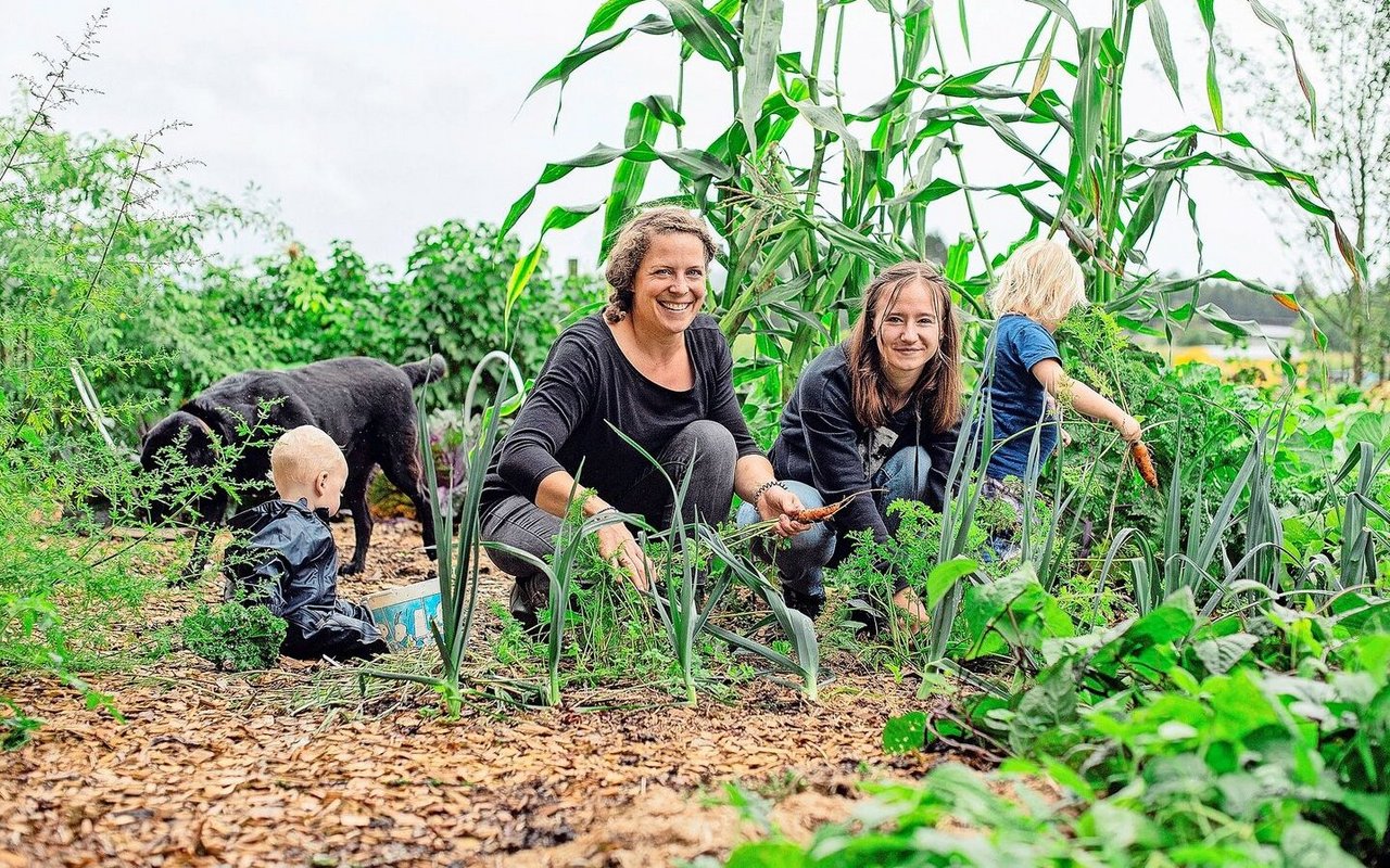 Die Ausbildnerin Tamara Vogel (l.) holt mit ihrer Agriprakti-Jugendlichen Vivien Schönbächler, ihren beiden Kleinkindern und dem Hund frische Karotten aus dem Garten.