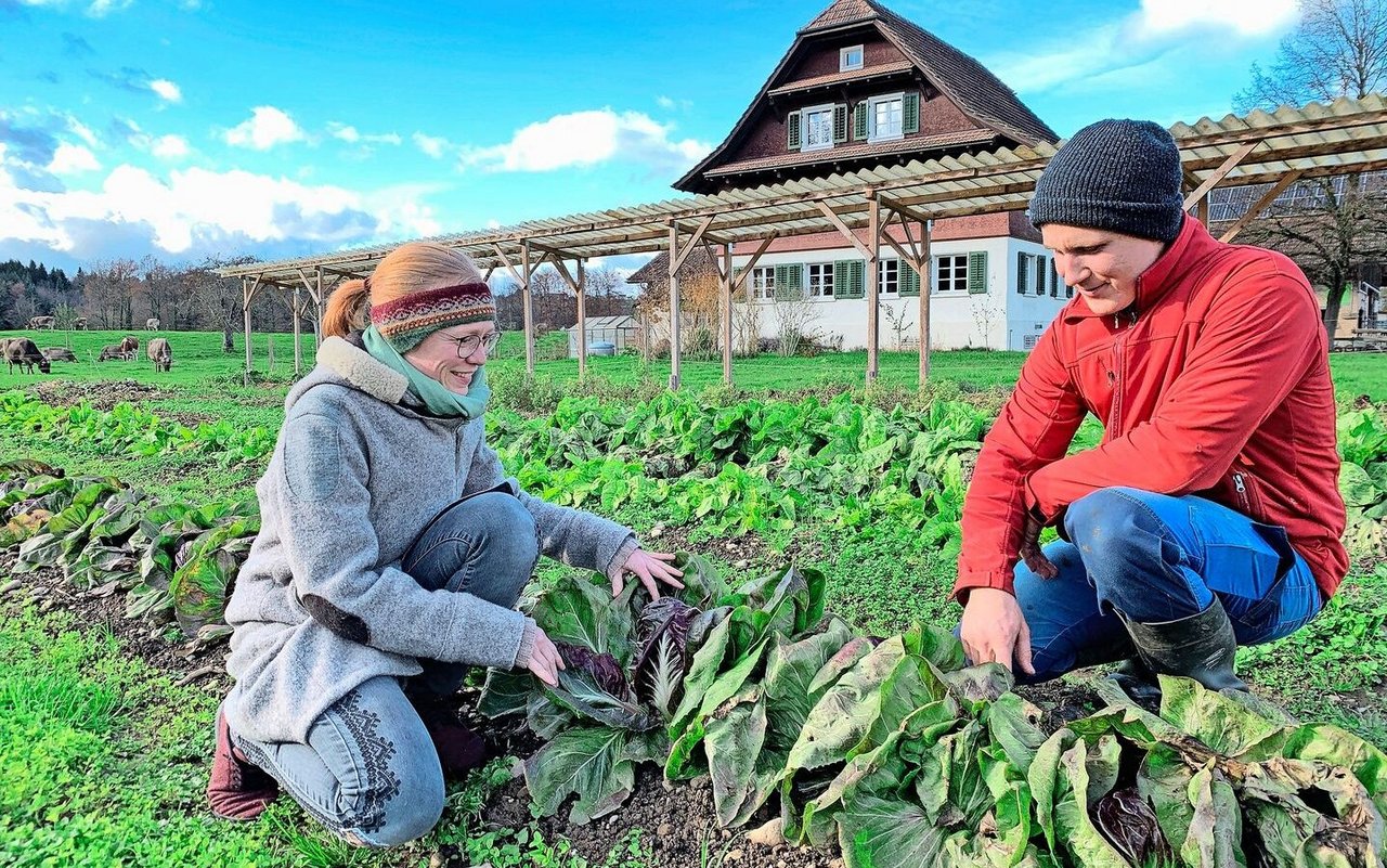 Vera und Marco Imfeld begutachten das Herbstgemüse im Selbsterntegarten auf dem Waldhof in Sursee. 