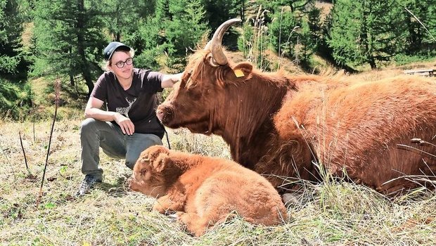 Sandra Wyer-Supersaxo ist begeistert von ihren «Schotten». Diese kommen mit kargerem Futter gut über die Runden und lassen sich von den vielen Wanderern nicht aus der Ruhe bringen.