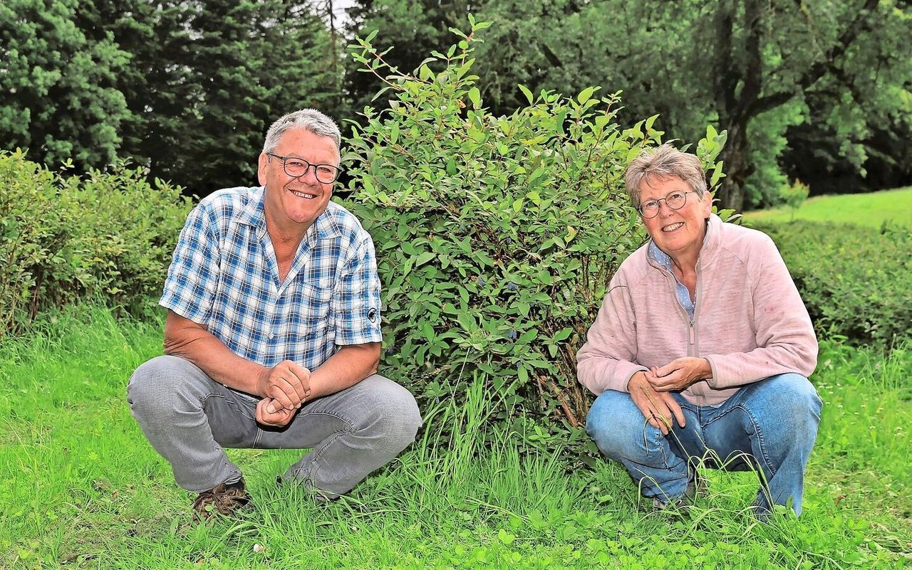 Christa und Oskar Felder haben jahrelange Erfahrung in der Direktvermarktung. Auf die Pflanzung ihrer Haskap-Beeren-Sträucher würden sie heute verzichten.