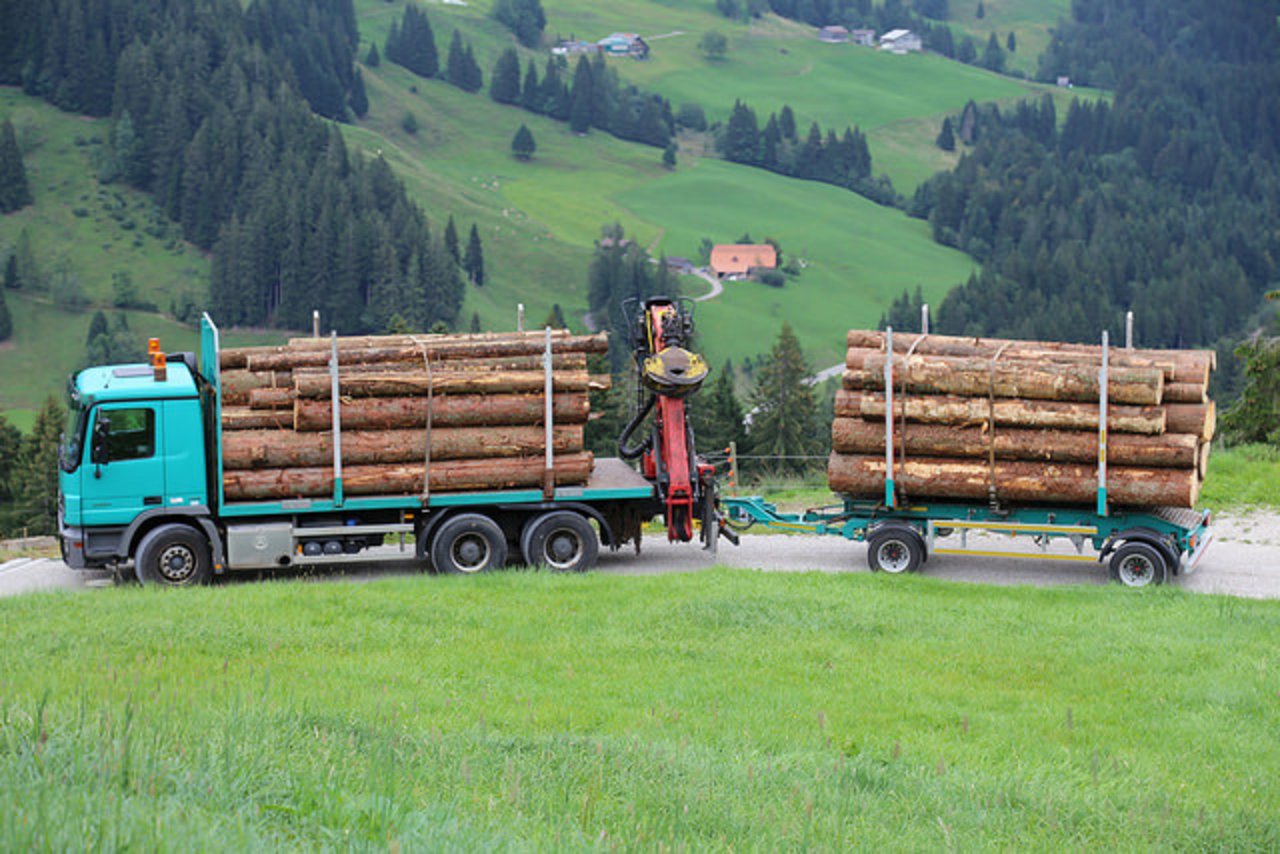 Der Wald dient nicht nur zur Holznutzung, sondern ist vielen weiteren Ansprüchen ausgesetzt. (Symbolbild Michael Wahl, LID)