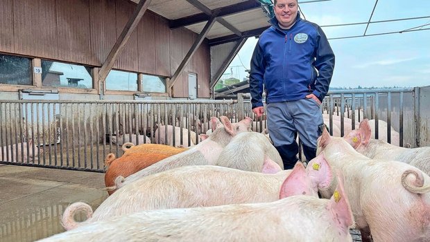 Tierhalter aus Leidenschaft: Alain Bütler im Auslauf des 2012 erbauten Stalls für 600 Mastschweine.