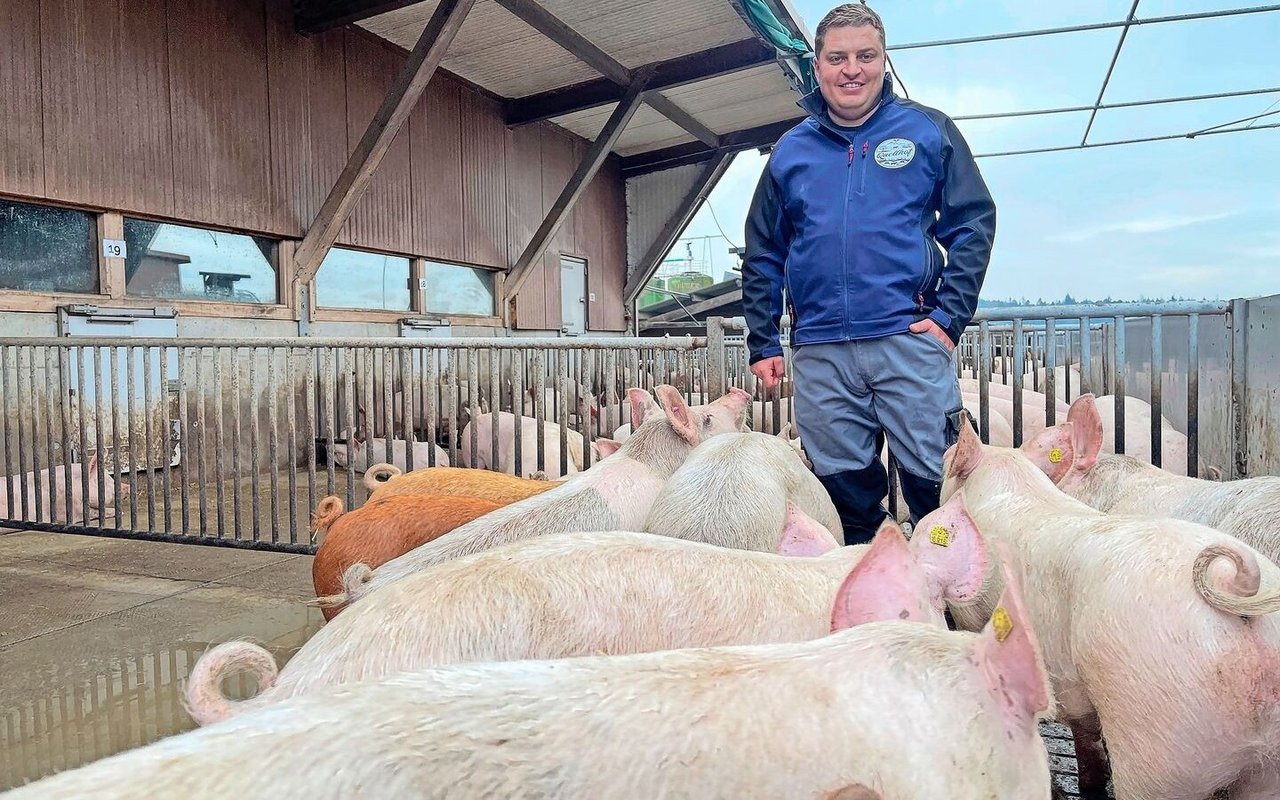 Tierhalter aus Leidenschaft: Alain Bütler im Auslauf des 2012 erbauten Stalls für 600 Mastschweine.