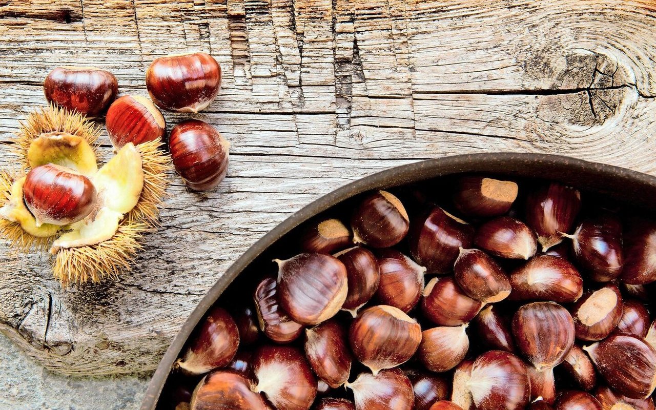 Marroni sind ein Herbstgenuss, der sich für süsse wie für deftige Gerichte eignet. Geniessbar sind nur Edelkastanien, Rosskastanien dagegen sind giftig.