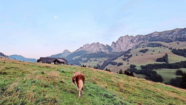 Nachdem Jolanda Wyttenbachs erster Arbeitstag direkt mit der Ernte des Ökoheus gestartet hatte, machte sie sich gemeinsam mit ihrer Lehrmeisterfamilie auf den Weg auf die Alp nach Zaggisboden. 