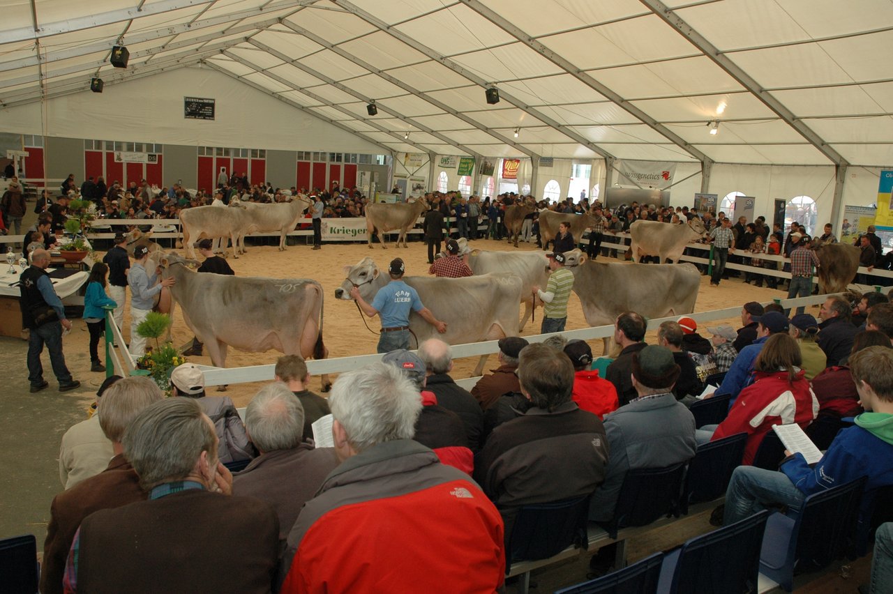 Impressionen von der Lucerne Expo 2013 in Hohenrain. (Archivbild BauZ)