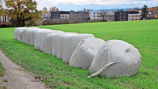 Die Konservierung und Verfütterung von Herbstgras steht vor der Tür und bringt gewisse Herausforderungen mit sich. Unsere Autorin gibt Tipps.